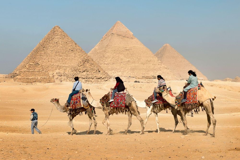 Egypt Bans Camel & Horse Rides at Giza Pyramids: A Major Ethical Tourism Reform