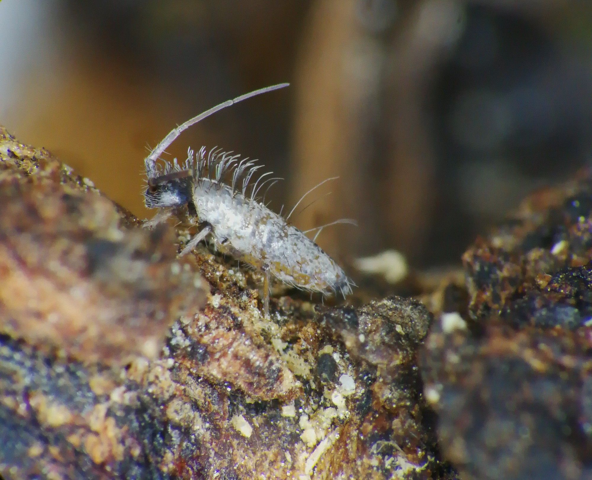 Explore the hidden life of soil at the Franschhoek Theatre