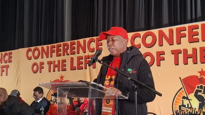 EFF leader Julius Malema says African migrants are being unfairly blamed for South Africa’s unemployment, and failing public services.