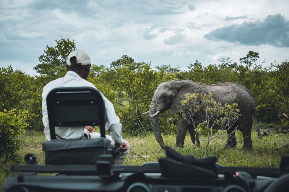 5 things that makes the Kruger National Park a 'goated' destination