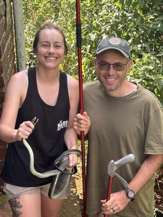 Big meal slows 'small' black mamba in Westville North rescue