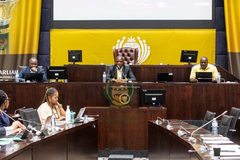 WATCH | Parliament's ad hoc committee to address witness issues and prepare for public hearings