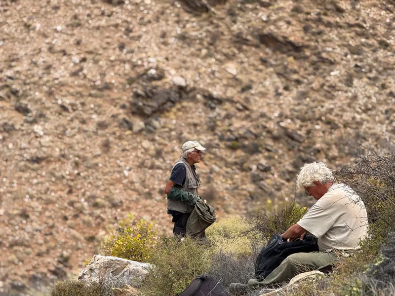 New insect species discovered in Richtersveld highlight global biodiversity significance