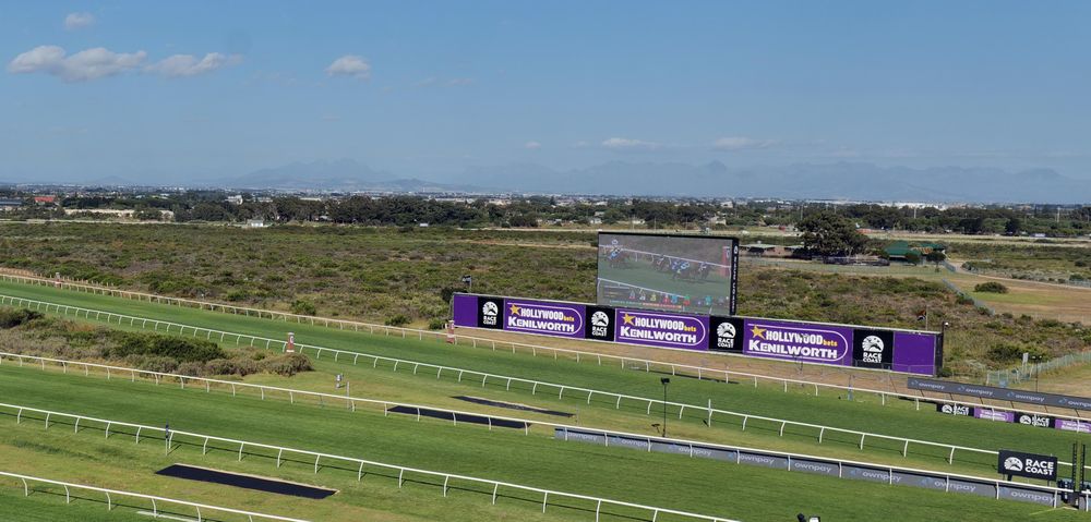 Kenilworth Racecourse: A sanctuary for biodiversity in Cape Town