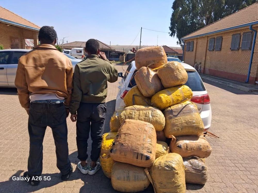 Two men arrested after 180kg dagga seizure in Mpumalanga - IOL