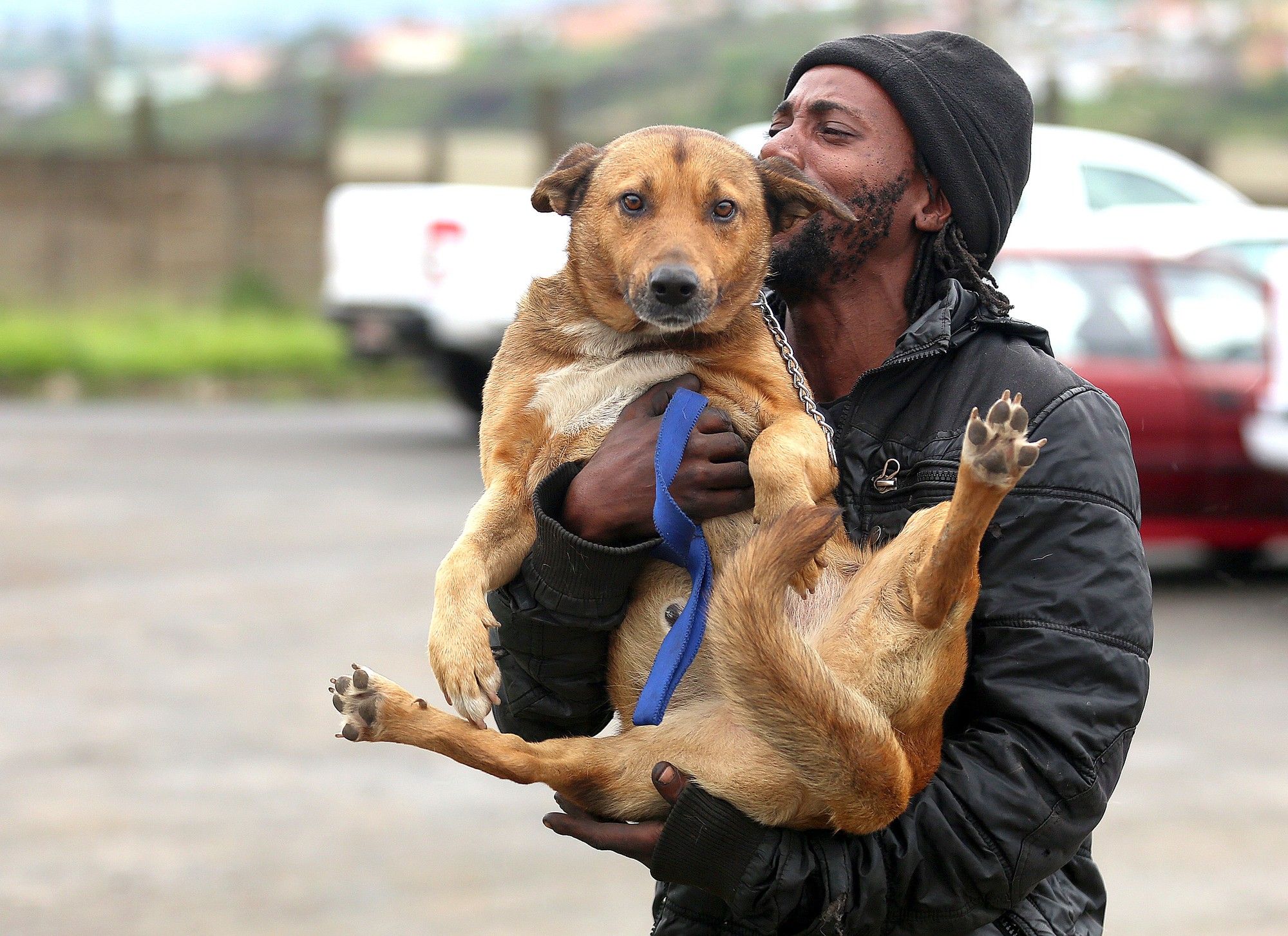 Human rabies cases rise to 10 in SA