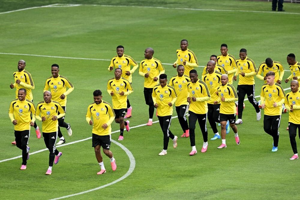 Africa Fifa World Cup guide: Can underdogs Bafana Bafana run with the big dogs?