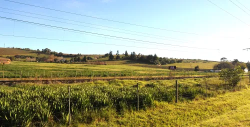 How digital tools are transforming agricultural practices in South Africa