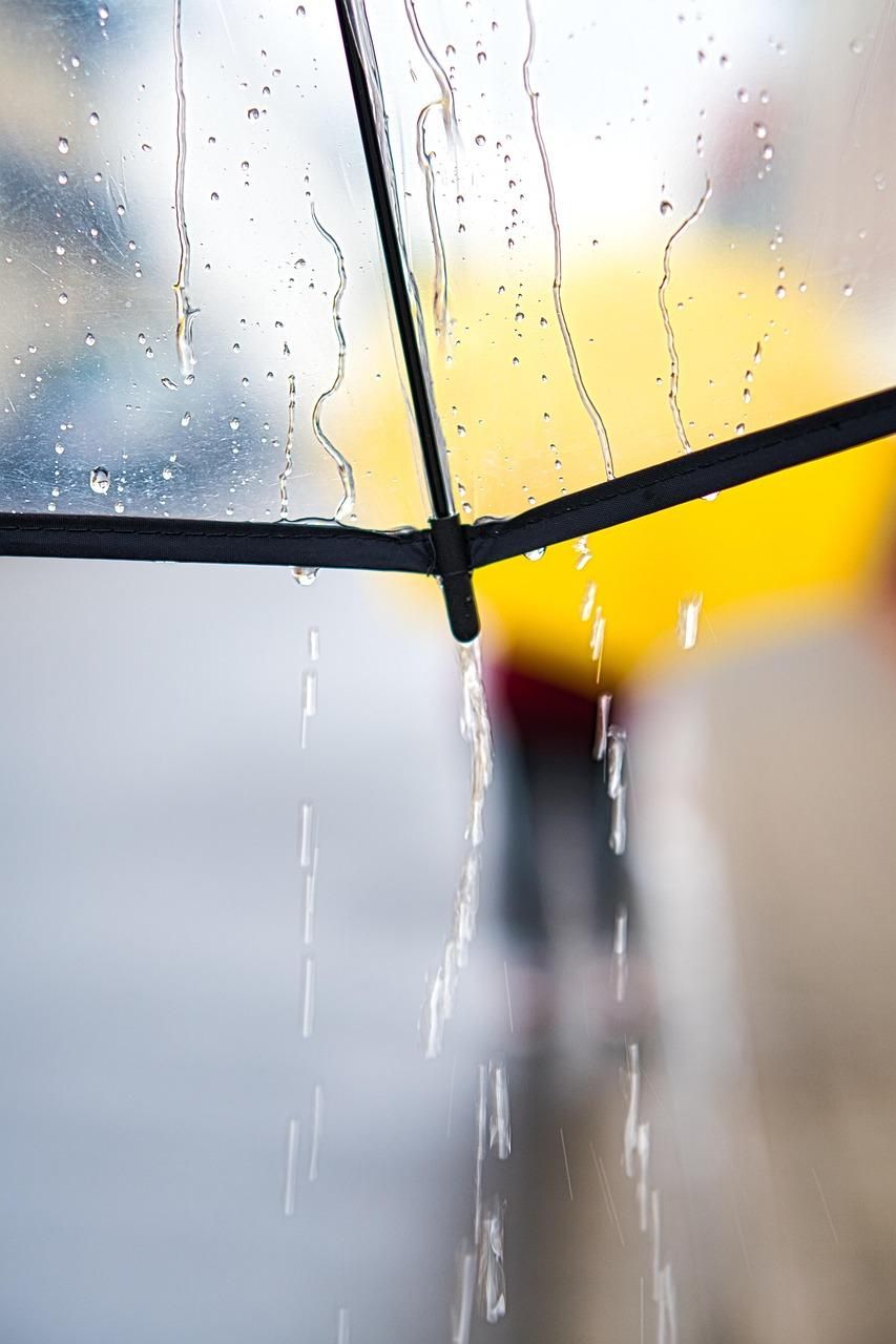 Today's weather: Cold mornings and scattered showers expected across SA