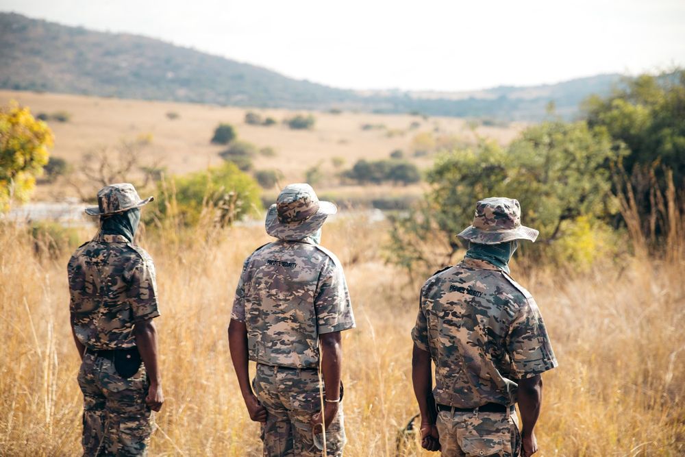 World Ranger Day: WWF's ranger wellness initiative targets rhino ...