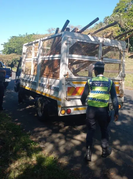 Residents of Sherwood in Durban are concerned about land invasions in the area.  A pile of trees and 32 sheets of corrugated iron were removed by the Durban metropolice from King Cetshwayo Highway, formerly known as Jan Smuts Highway. 
 
