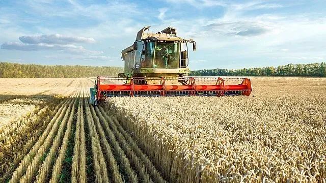 BRICS+ Series: Why the Middle East Is Betting on Africa’s Farms and Doing It Differently This Time