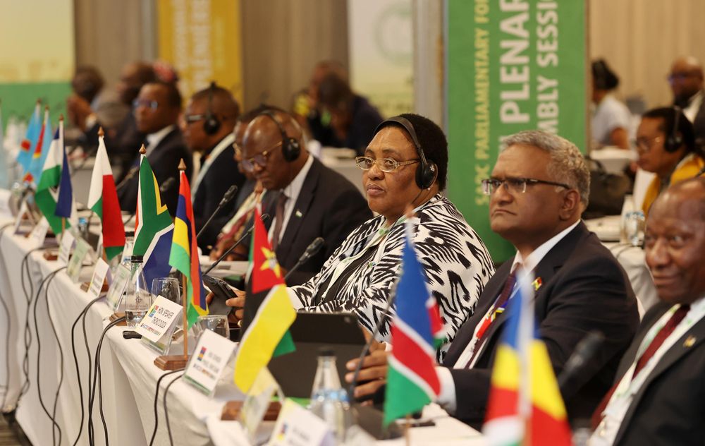 How US tariffs and funding cuts are impacting South Africa’s economy and healthcare