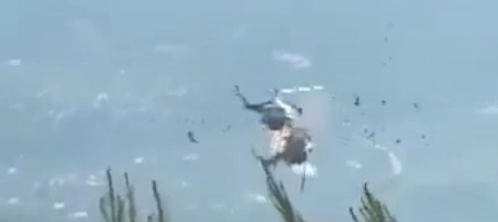 WATCH | Helicopters collide while battling wildfires