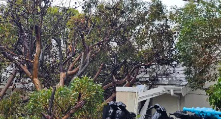 A fallen tree lies across the roof at Sisters Incorporated in Cape Town after strong winds during Monday’s storm caused significant damage to the shelter’s property.