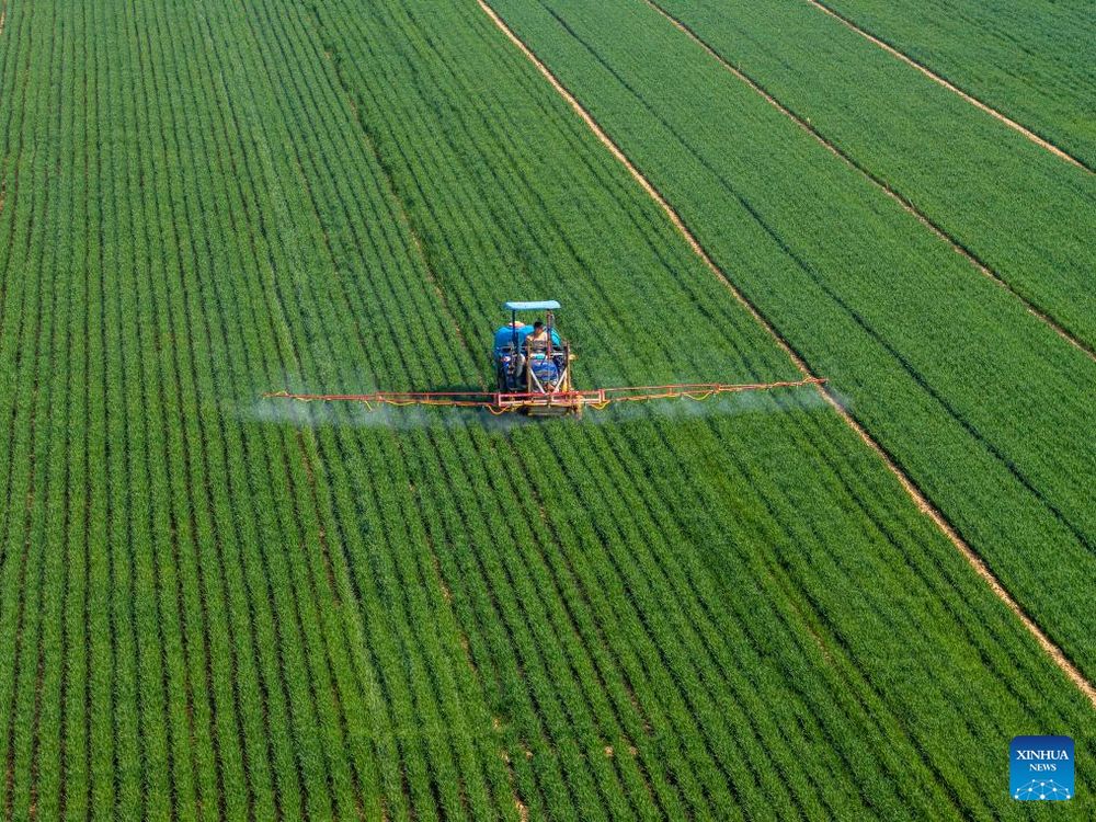 Exploring the Reopening of the China-North Korea Border: What It Means for Tourism