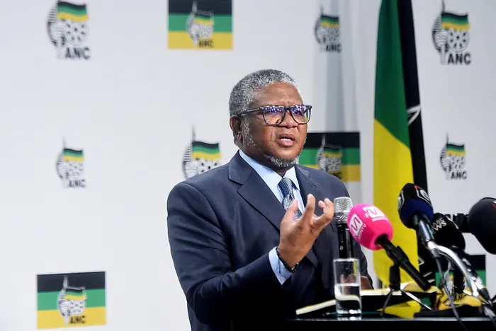ANC secretary-general Fikile Mbalula says South Africa faces a serious illegal immigration challenge.