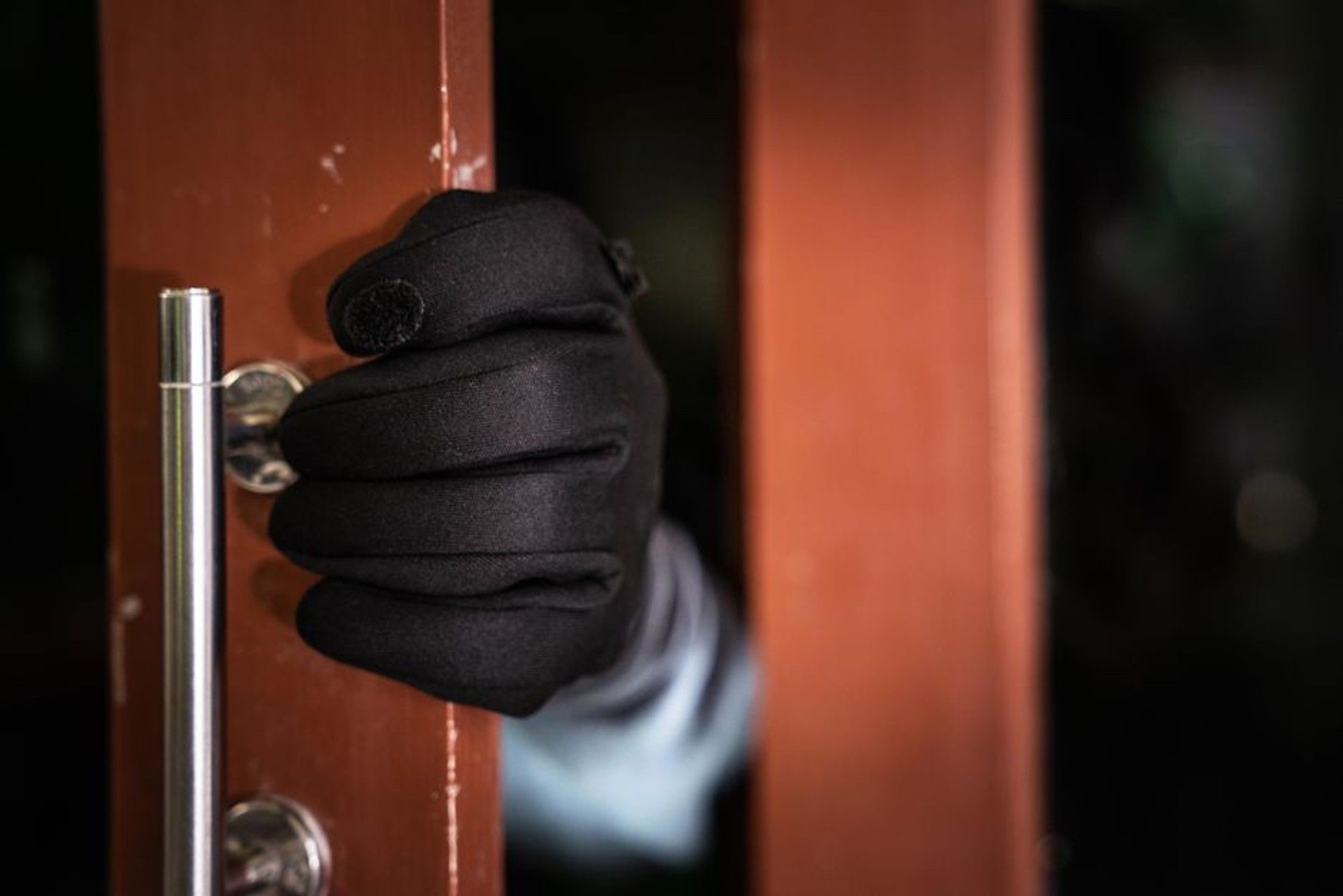 Night of horrors: Father tied up as armed intruders shoot son and rape ...