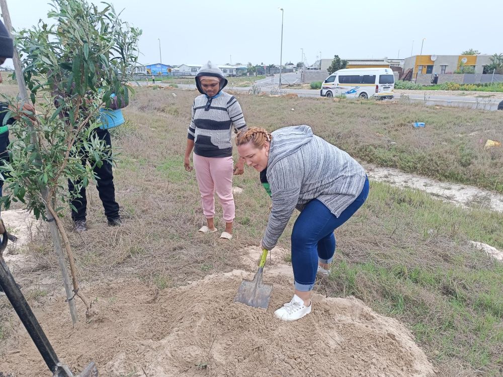 Celebrate Earth Day: 100 trees donated for planting in Greenville