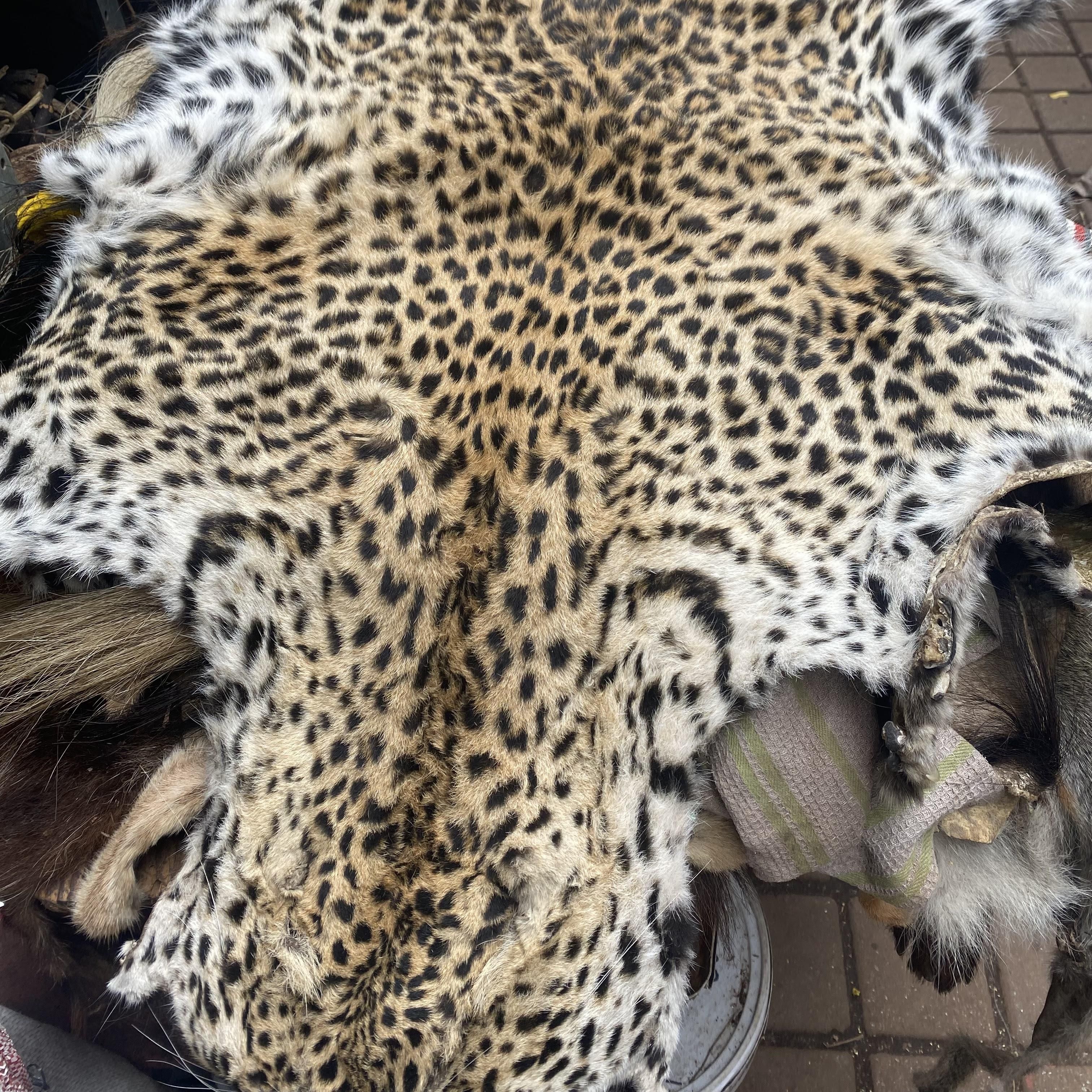 How the illegal wildlife trade connects to drug trafficking and arms dealing