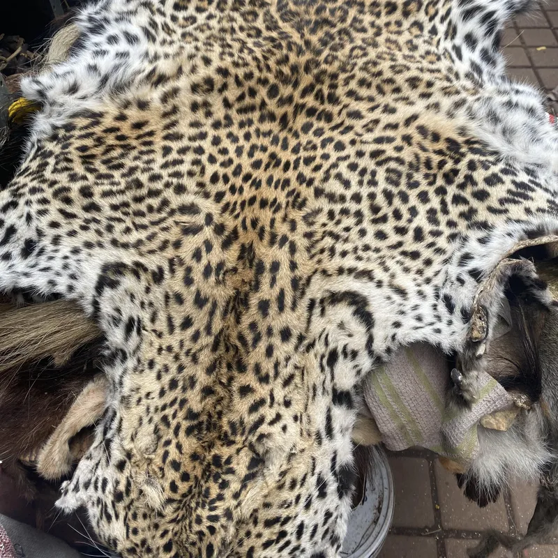 How the illegal wildlife trade connects to drug trafficking and arms dealing
