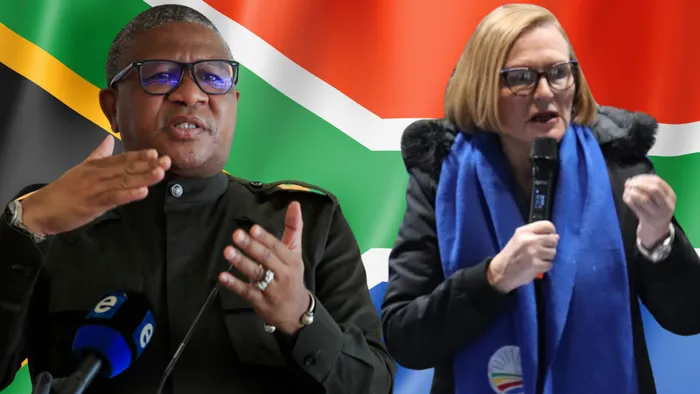 It's just teething problems: IFP weighs in on Zille, Mbalula GNU spat