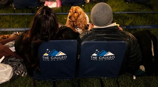 Pets, popcorn, and plenty of cuddles at movie night under the stars.