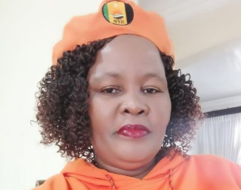 KZN’s government crisis: NFP withdrawal and the battle for provincial control