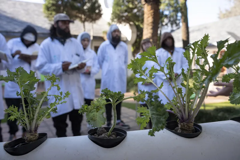 BRICS+ Series: Cannabis in South Africa: Policy Reversals and R28 Billion Economic Opportunity
