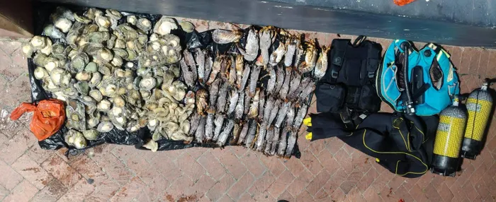 Police confiscated marine resources with an estimated street value of R500,000 in Hout Bay, Cape Town on Monday, 21 September. 