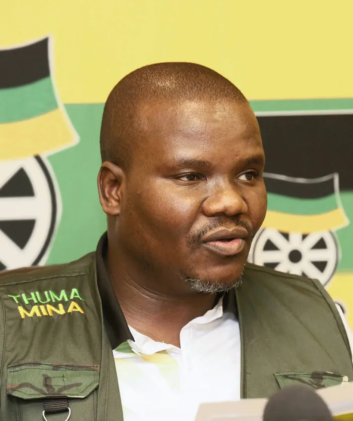 ANC Chief Whip Mdumiseni Ntuli has rejected the xenophobic claims but condemned unlawful conduct against foreign nationals, and asked for foreign nationals to respect the laws of the country.