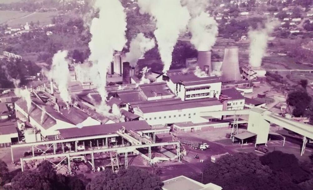 Sugar industry crisis: North Coast farmers ready for harvest left stranded