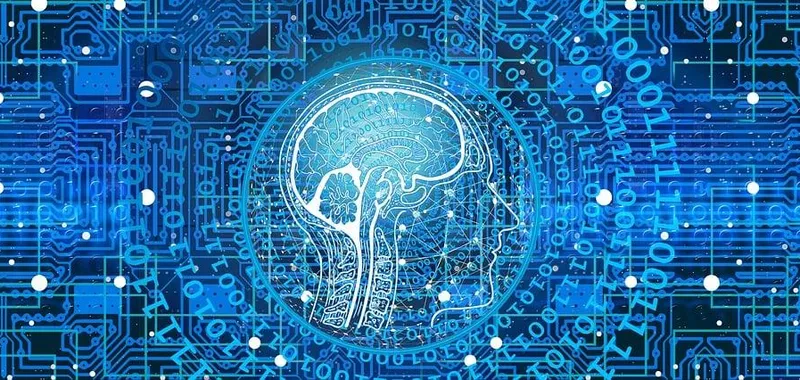 Scrolling to our Doom: When smartphone FOMO fragments our brains