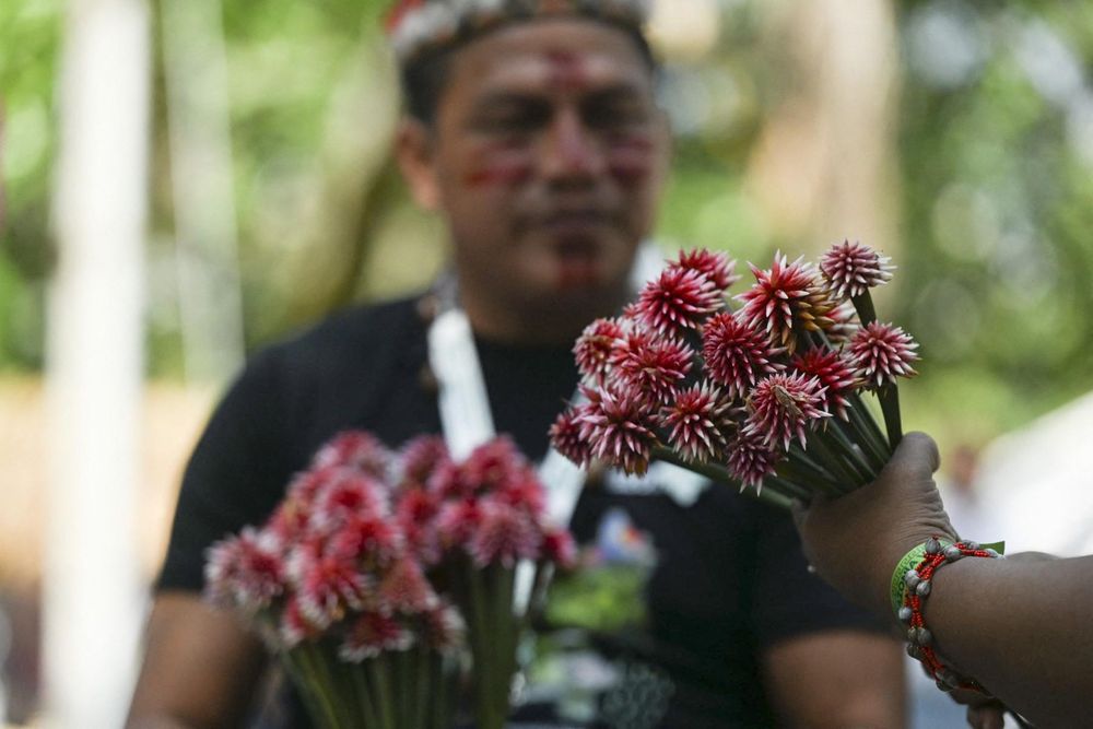 Colombia bans all new oil and mining projects in its Amazon