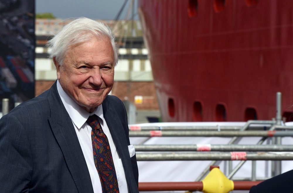 Conservation icon Sir David Attenborough marks 100th birthday