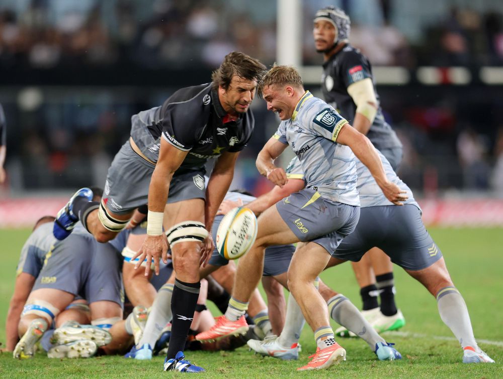 Sharks ready to test their DNA against Springbok-loaded Stormers in ...