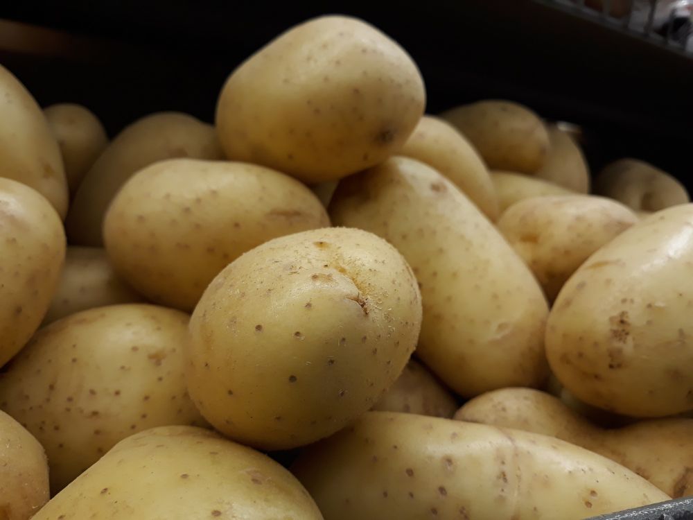 'There is no potato shortage in SA' but load shedding is making food production harder - IOL