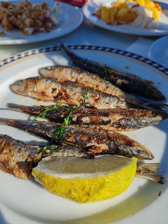 From a viral TikTok trend to clinical backing, here is the ultimate survival guide to the 3-to-5-day sardine diet before you go full tinned fish.