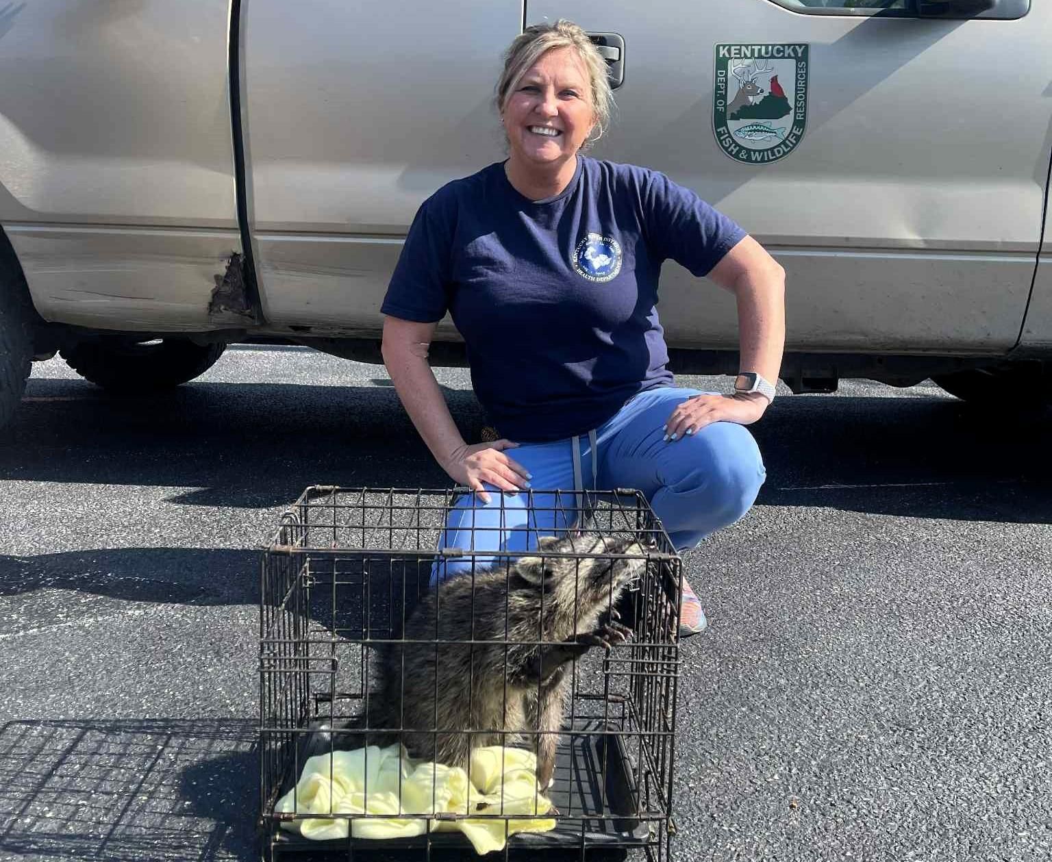 Kentucky nurse rescues drunk raccoon, revives it with CPR