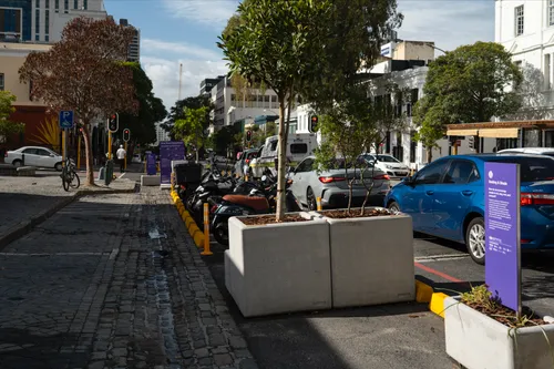 How Cape Town volunteers are turning CBD spaces into urban oases