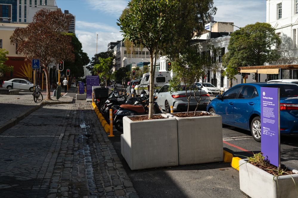 Comment des bénévoles transforment les espaces du centre-ville du Cap en oasis urbaines