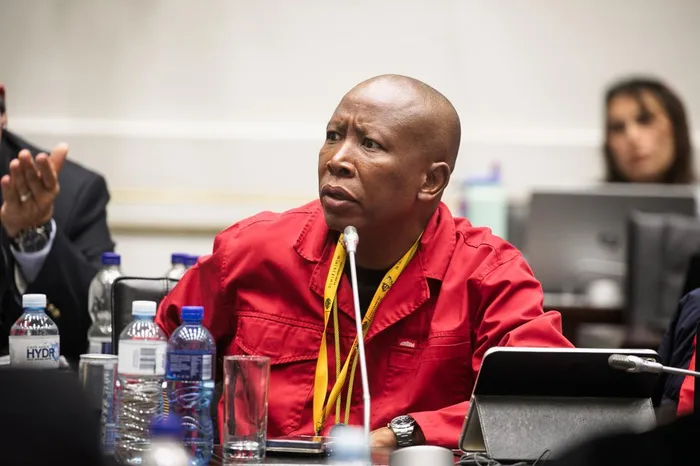 EFF Party Leader, Julius Malema, also raised the issue of needing a forensic investigator and an exchange control expert.