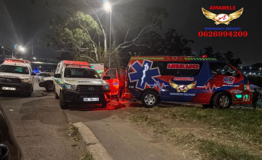 Chatsworth drive-by shooting leaves two dead on M1 Higginson Highway