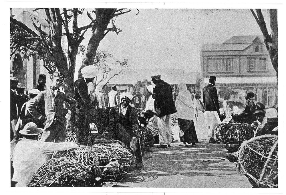 From moneylenders to merchants: the debt networks shaping Indian life in colonial Natal - IOL