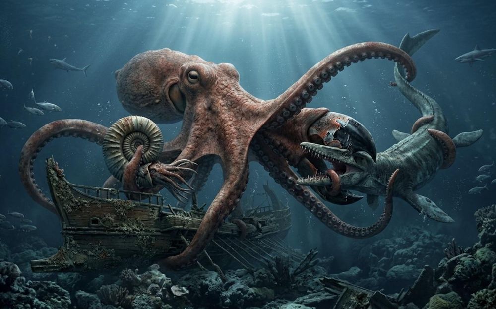 Giant octopus discovery reveals prehistoric predator that rivalled sharks in ancient oceans