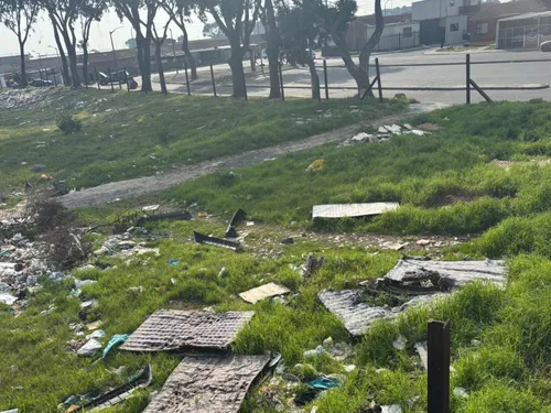 Health risks escalate as rats invade pathway near Lentegeur Metrorail Station