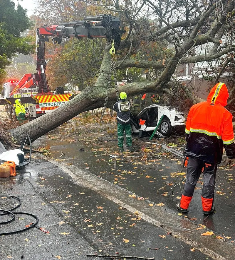 Tragic death of e-hailing passenger as tree falls during storm in Kenilworth