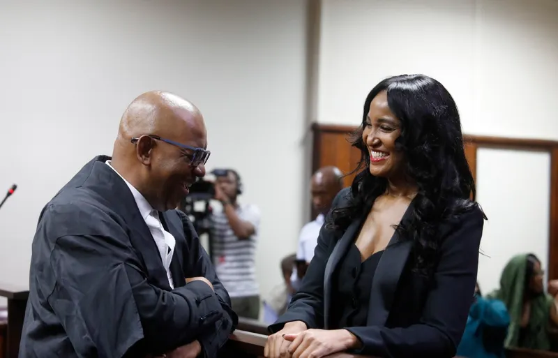 Cybersecurity expert's linguistic testimony challenged in Zuma-Sambudla case