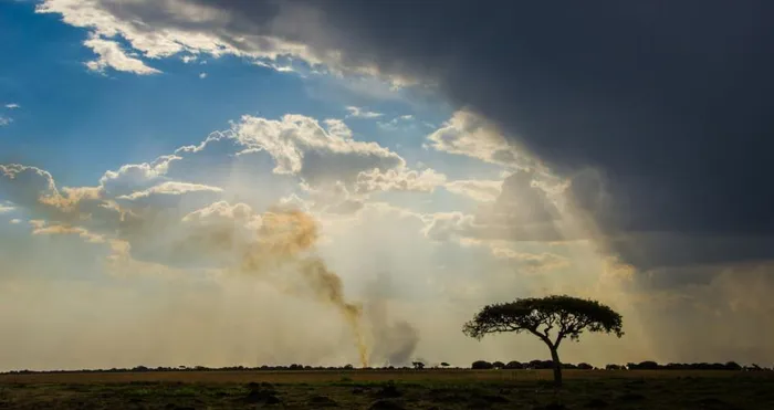 Co-opetition on shared environmental objectives can deliver both socio-environmental value and firm-level economic gains. Unlike traditional sustainability approaches, co-opetition changes the scale and structure of what is possible