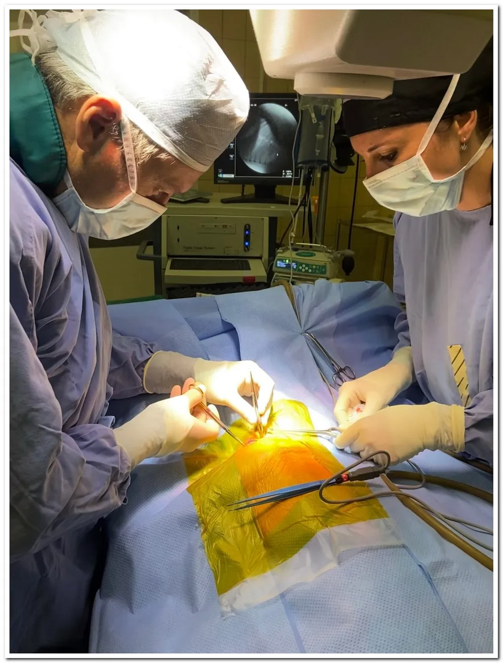 A veterinary surgeon and nursing sister working on a patient in an operating theatre 